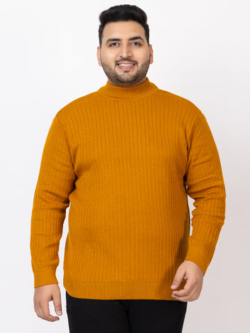 MEN HIGH NECK PLAIN PLUS SIZE SWEATER