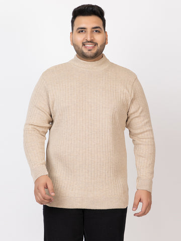 MEN HIGH NECK PLAIN PLUS SIZE SWEATER