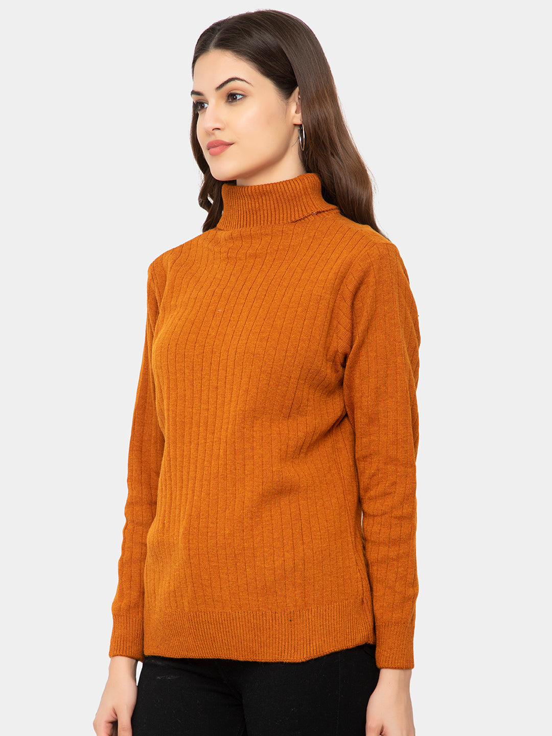 WOMEN HIGH NECK PLAIN SWEATER